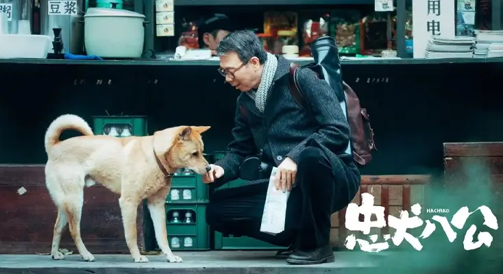 网易严选在巴西用不了怎么办指南